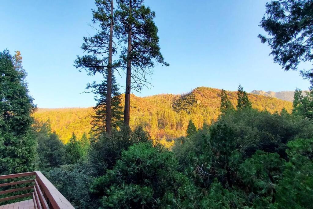Redwood Retreat, Mountains, Adventure And Nature Ponderosa エクステリア 写真