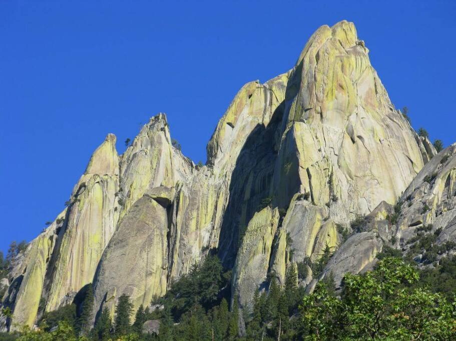 Redwood Retreat, Mountains, Adventure And Nature Ponderosa エクステリア 写真