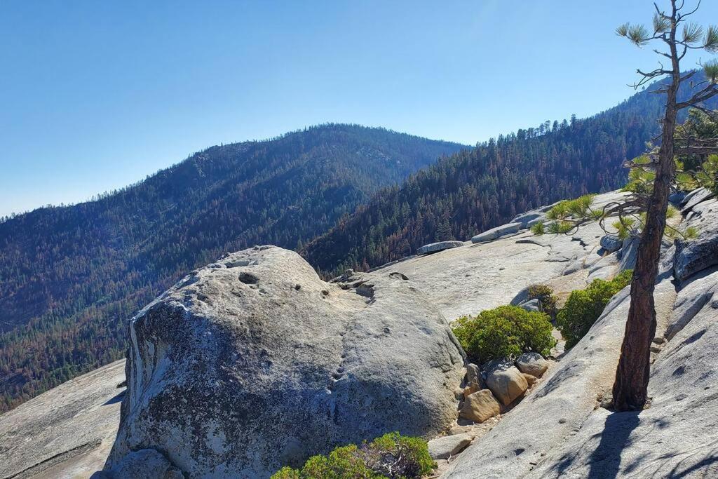 Redwood Retreat, Mountains, Adventure And Nature Ponderosa エクステリア 写真
