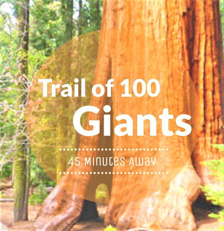 Redwood Retreat, Mountains, Adventure And Nature Ponderosa エクステリア 写真