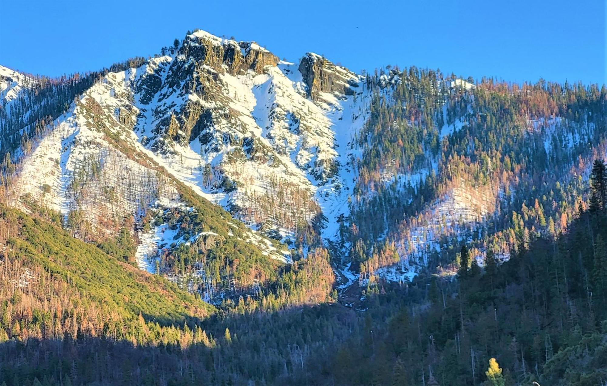 Redwood Retreat, Mountains, Adventure And Nature Ponderosa エクステリア 写真